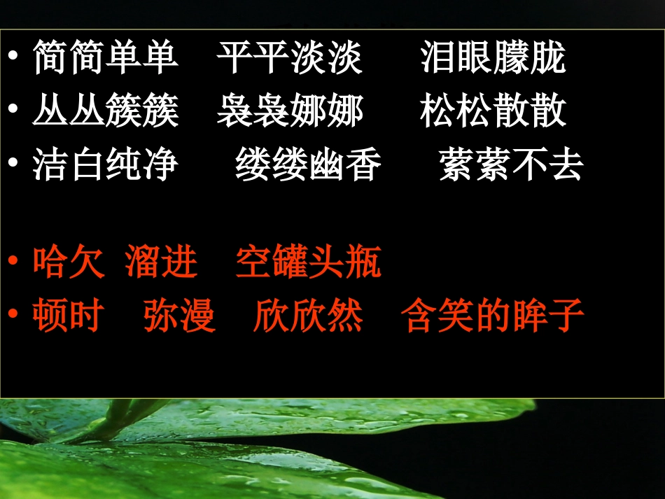 爱如茉莉课件_第3页