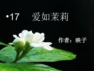 爱如茉莉课件
