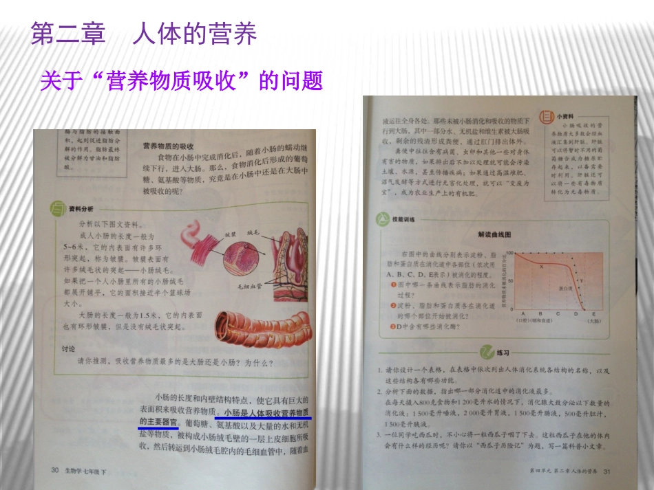 七下教材解析1_第3页