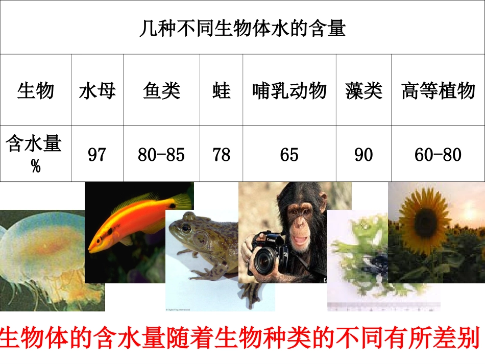 细胞中的无机物 _第3页