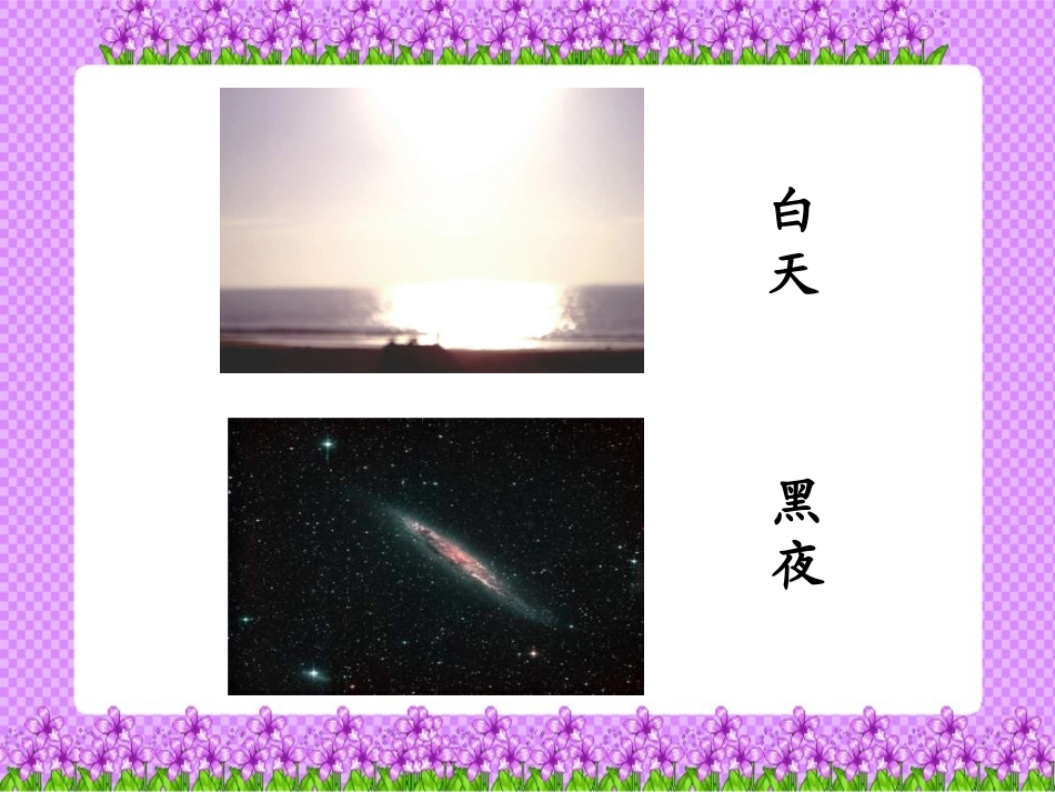 北师大版四下《谁爬得快》PPT课件_第3页