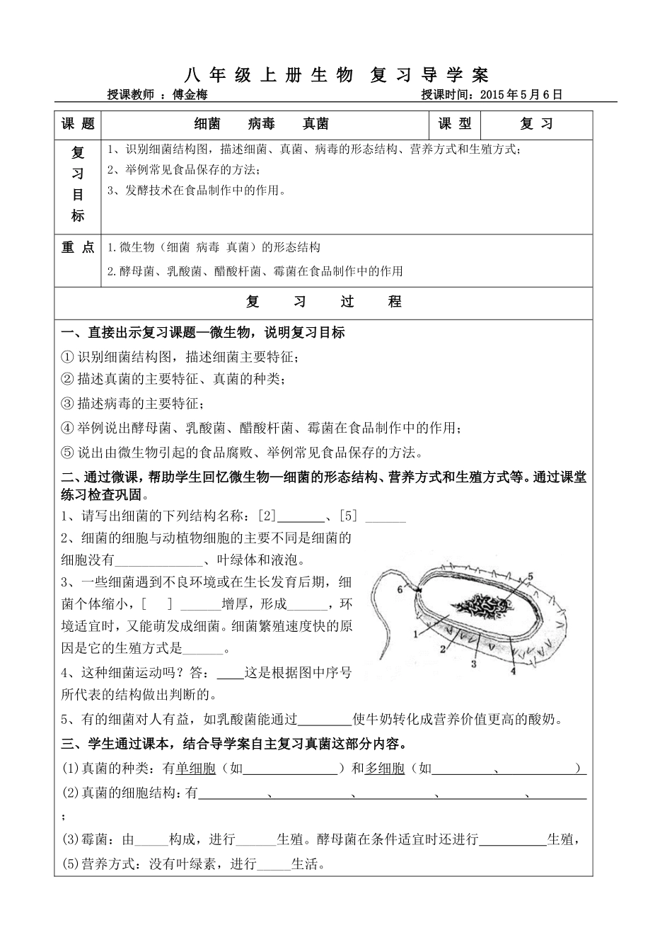 细菌和真菌复习导学案_第1页