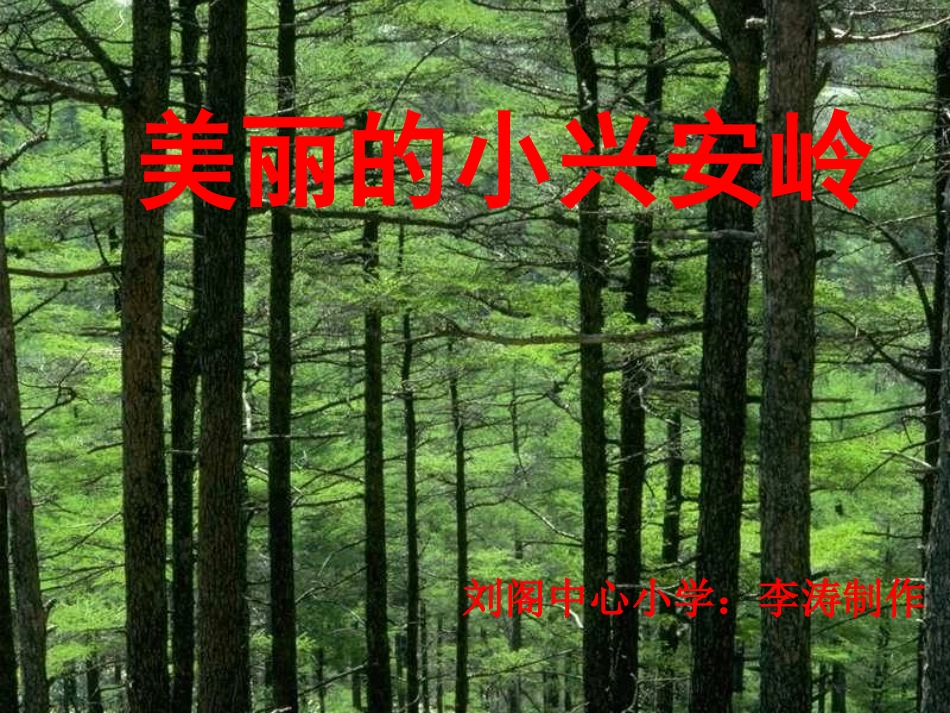 《美丽的小兴安岭》课件 (7)_第1页
