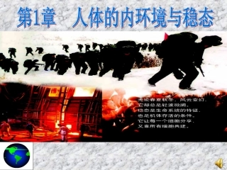 细胞生活的环境