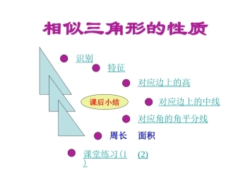 相似三角形的性质