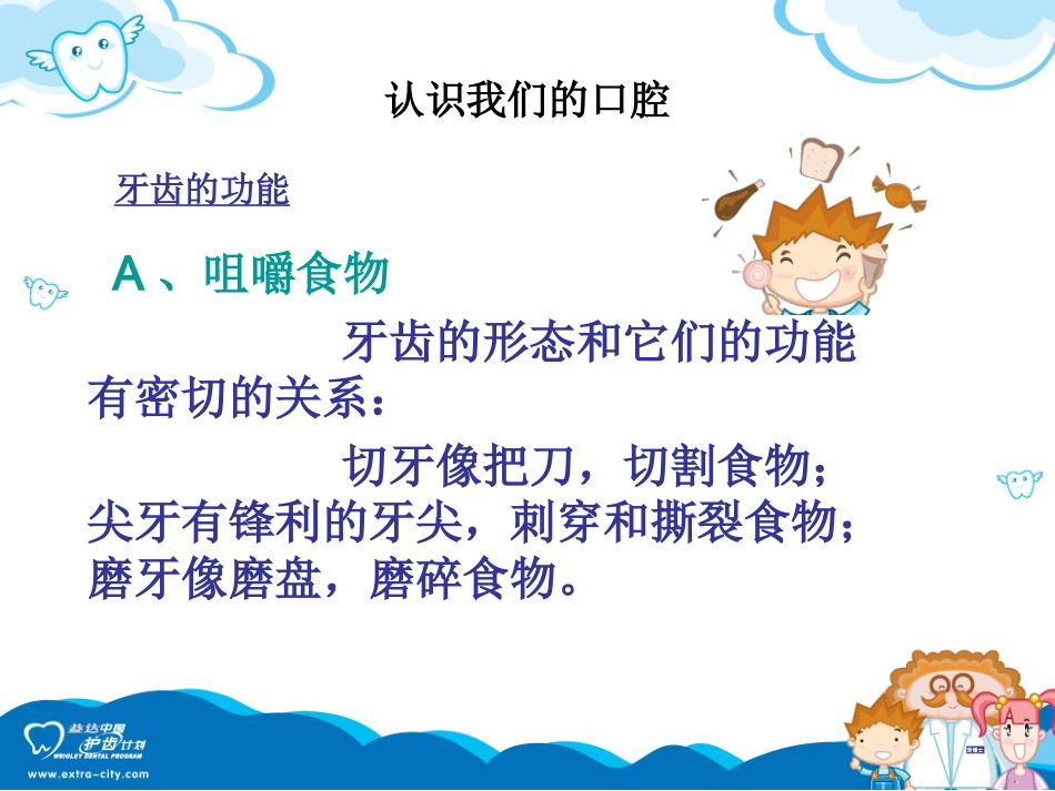 护齿知识讲解资料_第3页