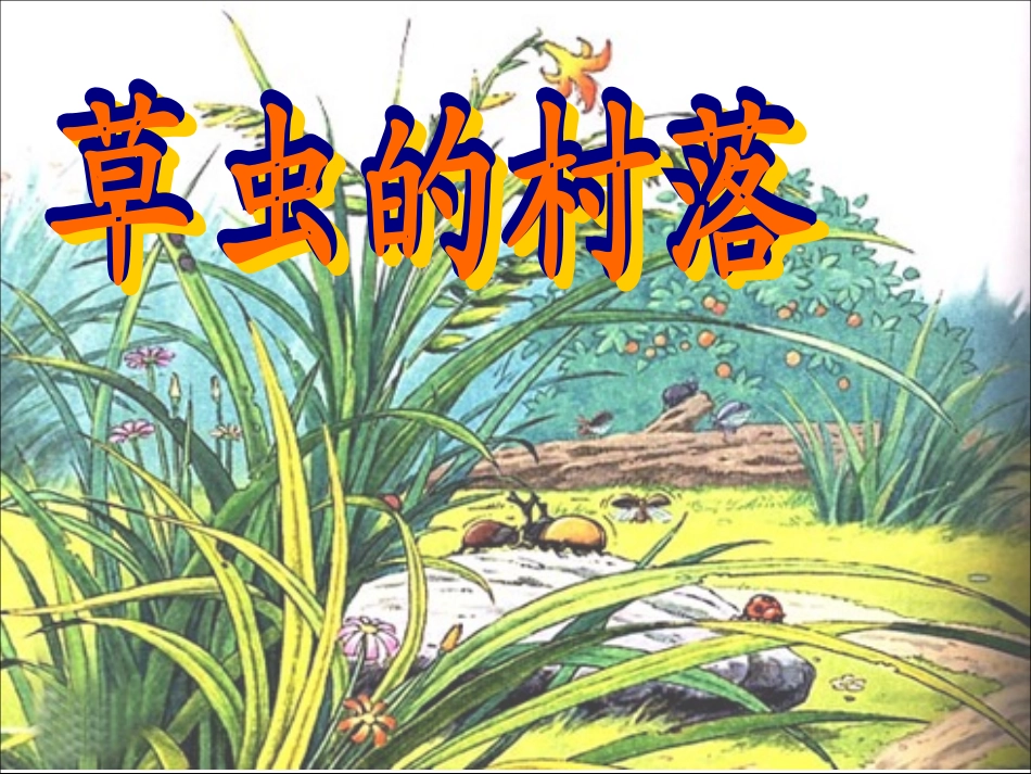 草虫的村落（课件）_第2页