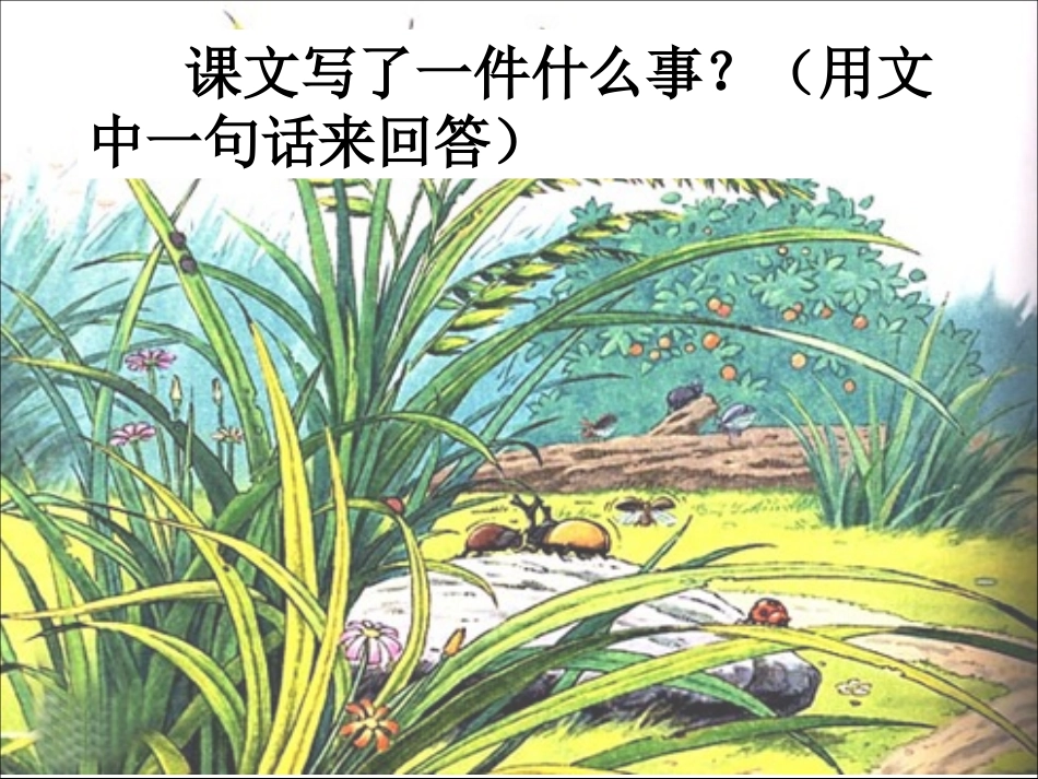 草虫的村落（课件）_第3页