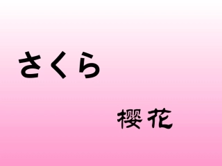 《樱花》音乐课件_公开课