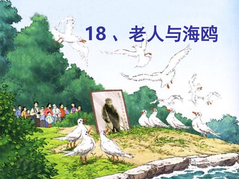 五年级下册《老人与海鸥》王玉华__说课课件_第1页