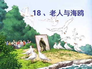 五年级下册《老人与海鸥》王玉华__说课课件