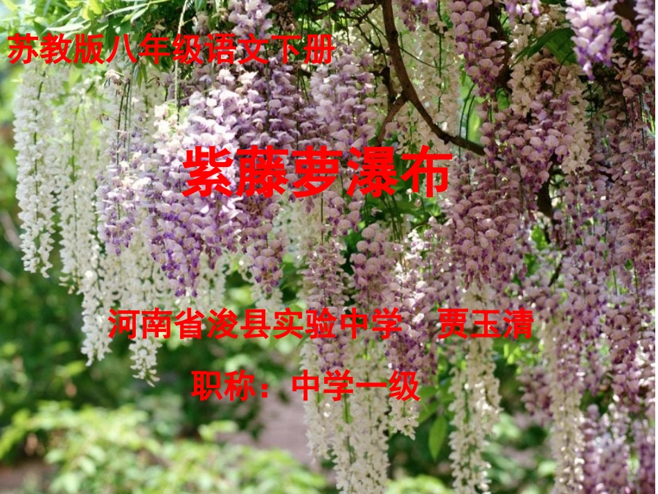 《紫藤萝瀑布》贾玉清-_第2页