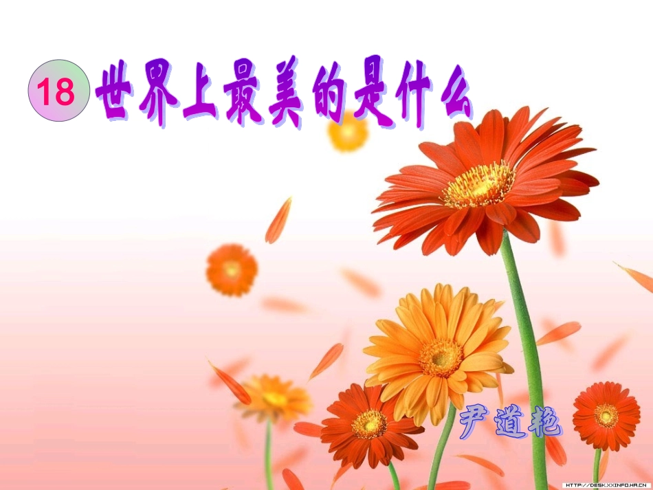 《世界上最美的是什么》课件_第1页