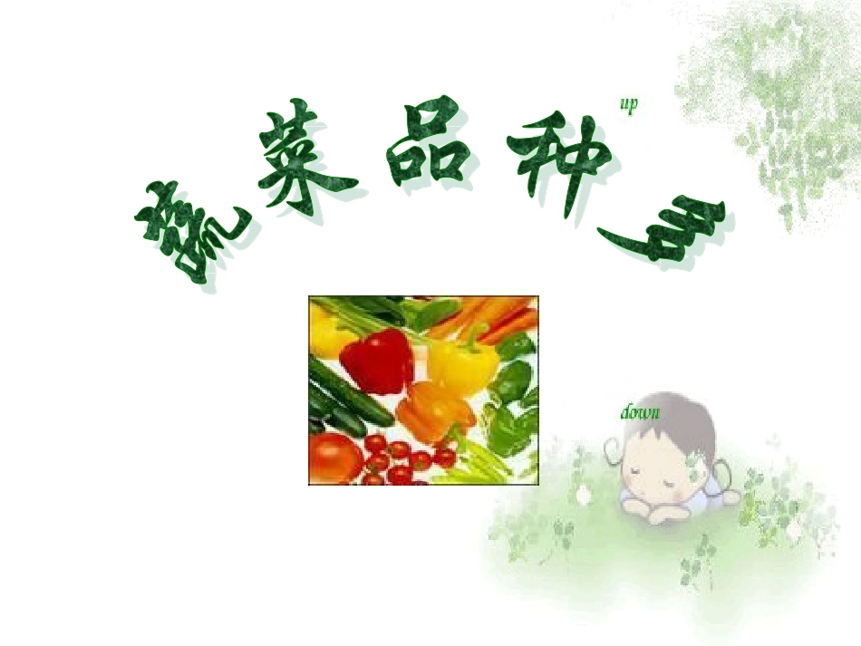 蔬菜品种多 (2)_第1页