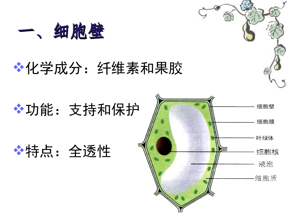 细胞膜系统的边界改_第3页