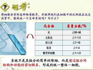 细胞膜系统的边界改