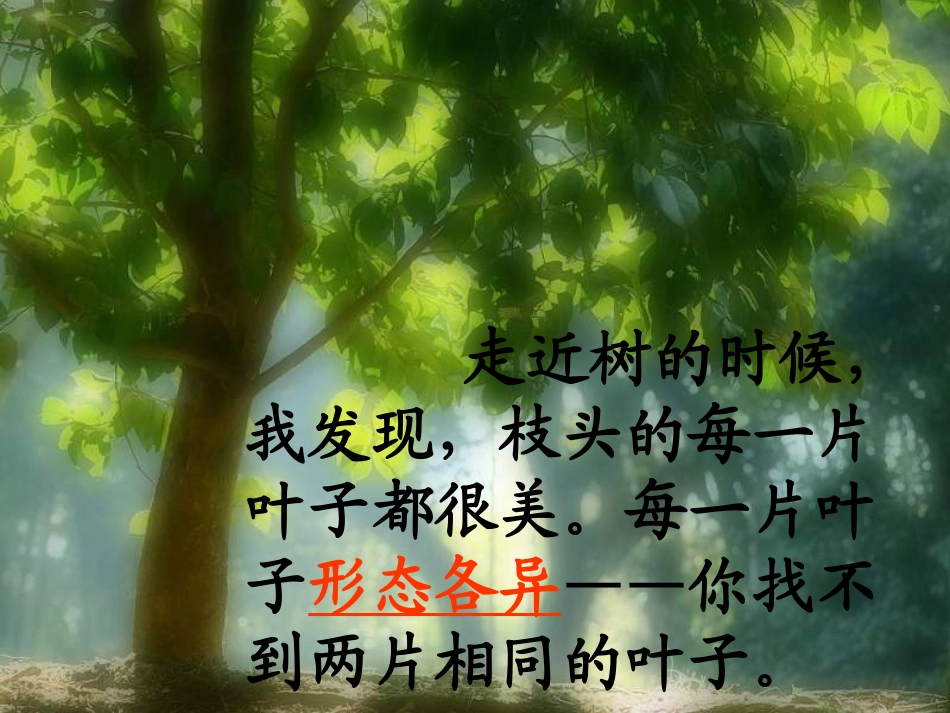 三年级语文做一片美的叶子_第2页