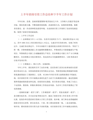 上半年招商引资工作总结和下半年工作计划2
