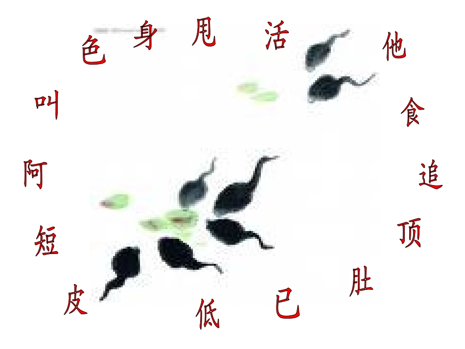 小科蚪找妈妈的字_第2页