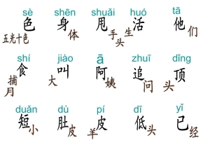 小科蚪找妈妈的字