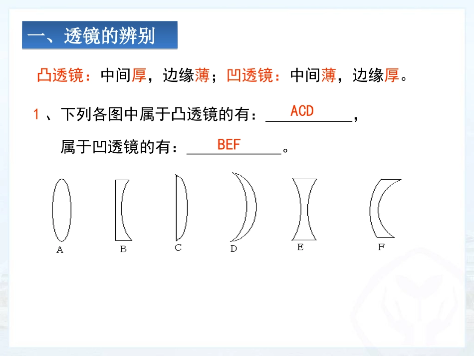 透镜及其应用（319）_第2页