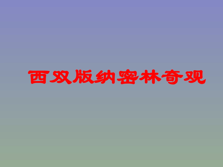 《西双版纳密林奇观》教学课件_第1页