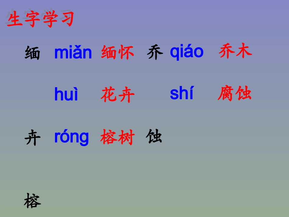 《西双版纳密林奇观》教学课件_第2页