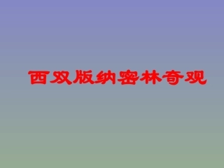 《西双版纳密林奇观》教学课件
