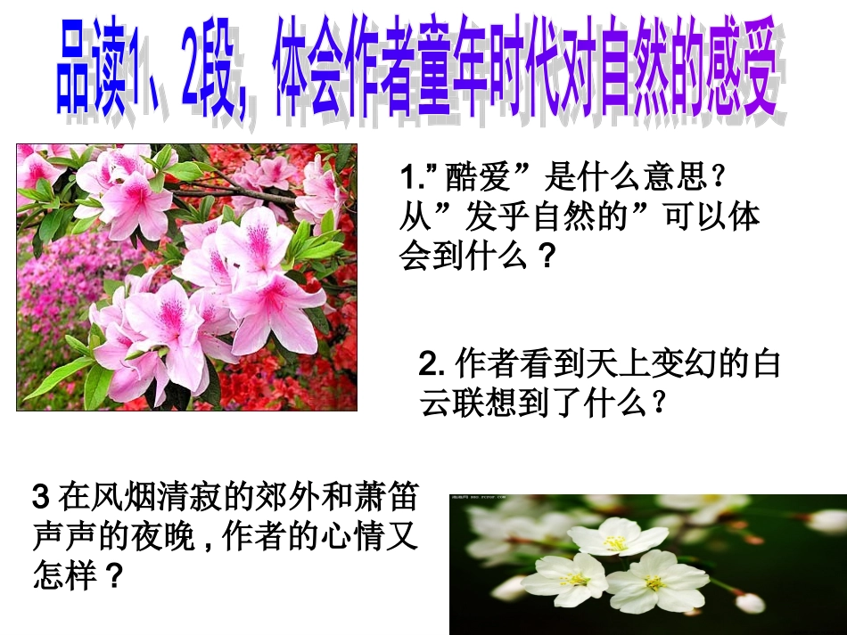 大自然_心中最美的诗_第3页