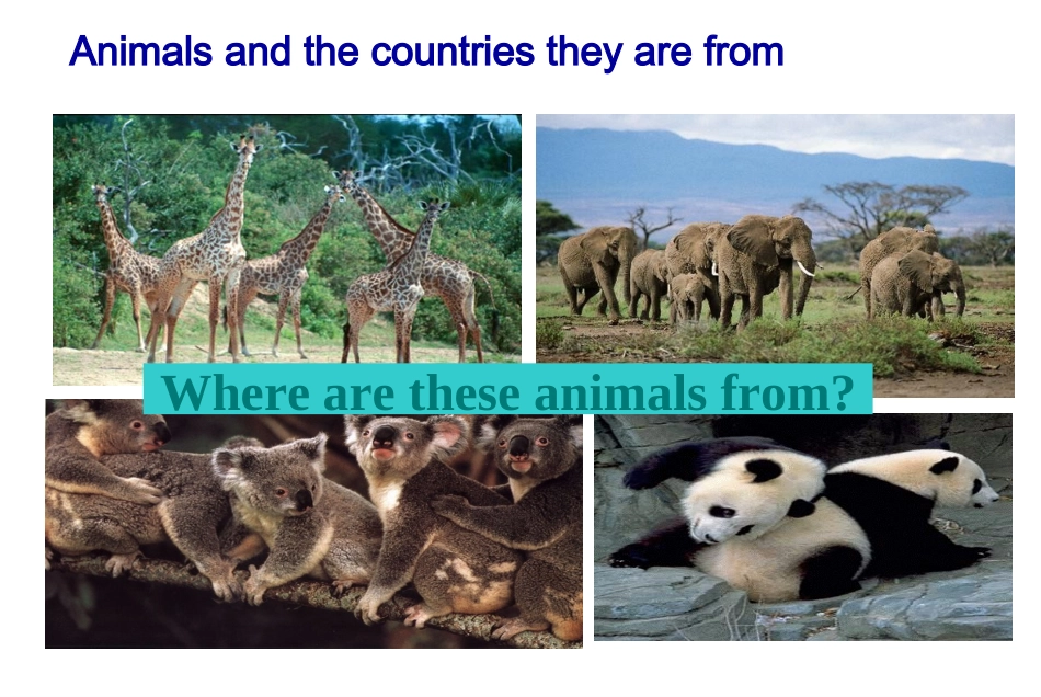 七年级英语下册Unit5《Whydoyoulikepandas》（第二课时）课件（新版）人教新目标版_第2页