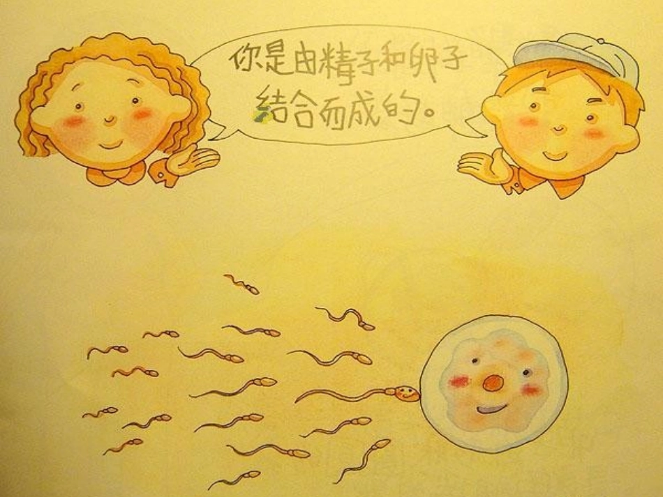 《我从哪里来》课件定稿_第3页