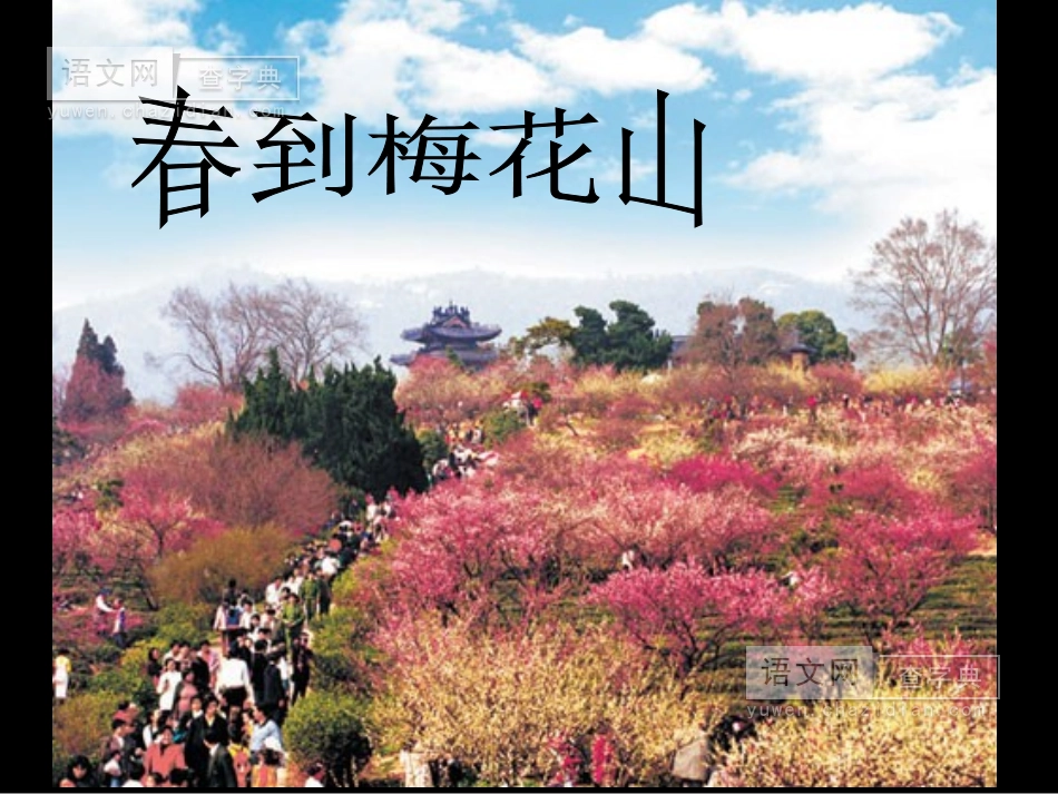春到梅花山课件_第3页