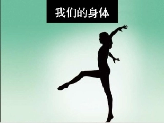 我们的身体演示文稿