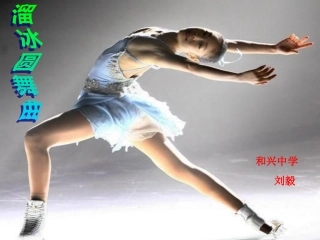新课标人音版初中音乐八年级上册《溜冰圆舞曲》精品课件