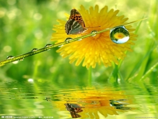 直线与圆的位置关系比赛