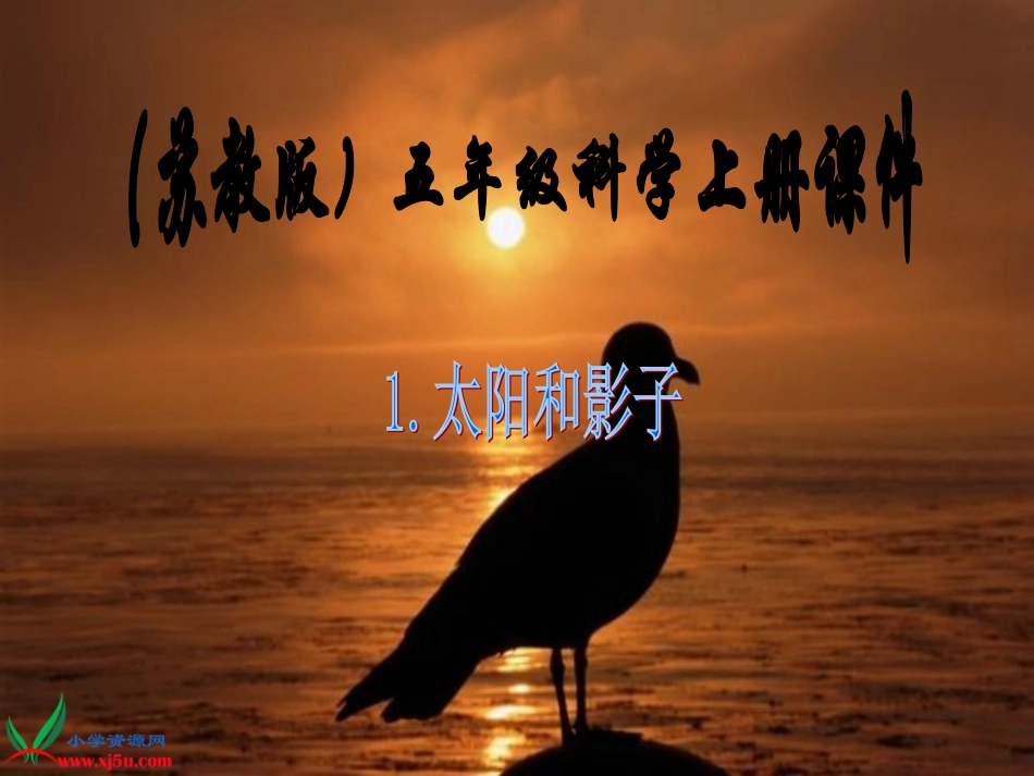 五上1单元1《太阳和影子》_第1页