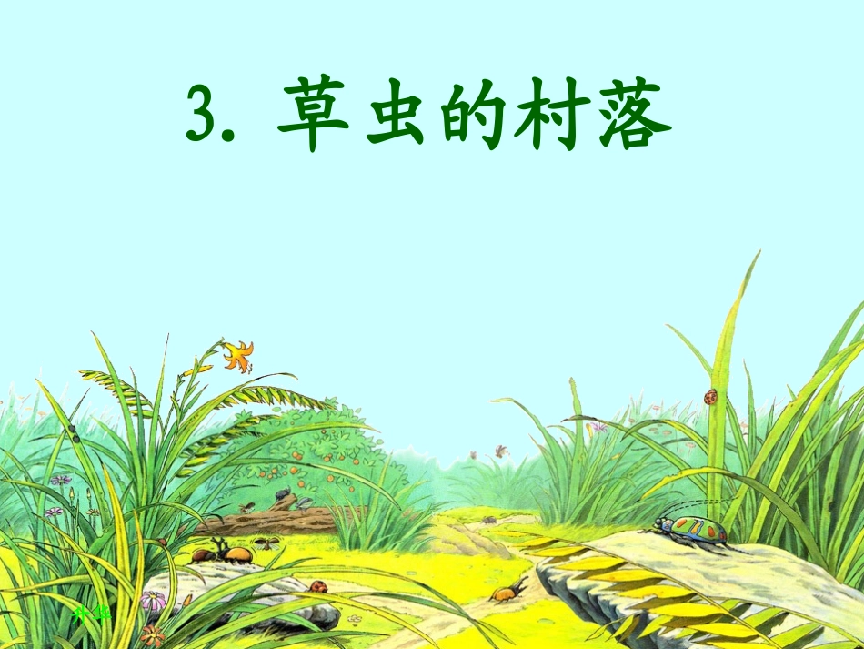 《草虫的村落》课件 (10)_第1页