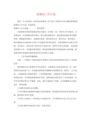 新课改工作计划