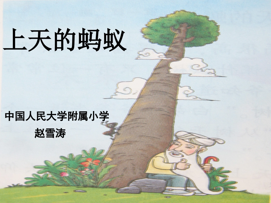 《上天的蚂蚁》课件xin完整版_第1页