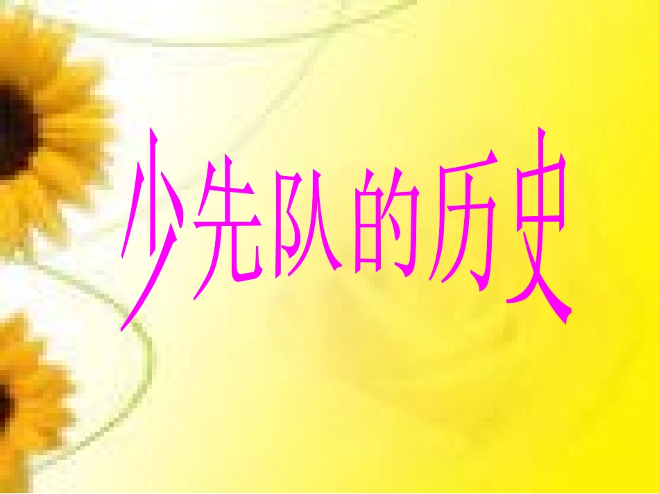 《少先队队课》课件_第2页