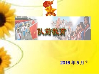 《少先队队课》课件