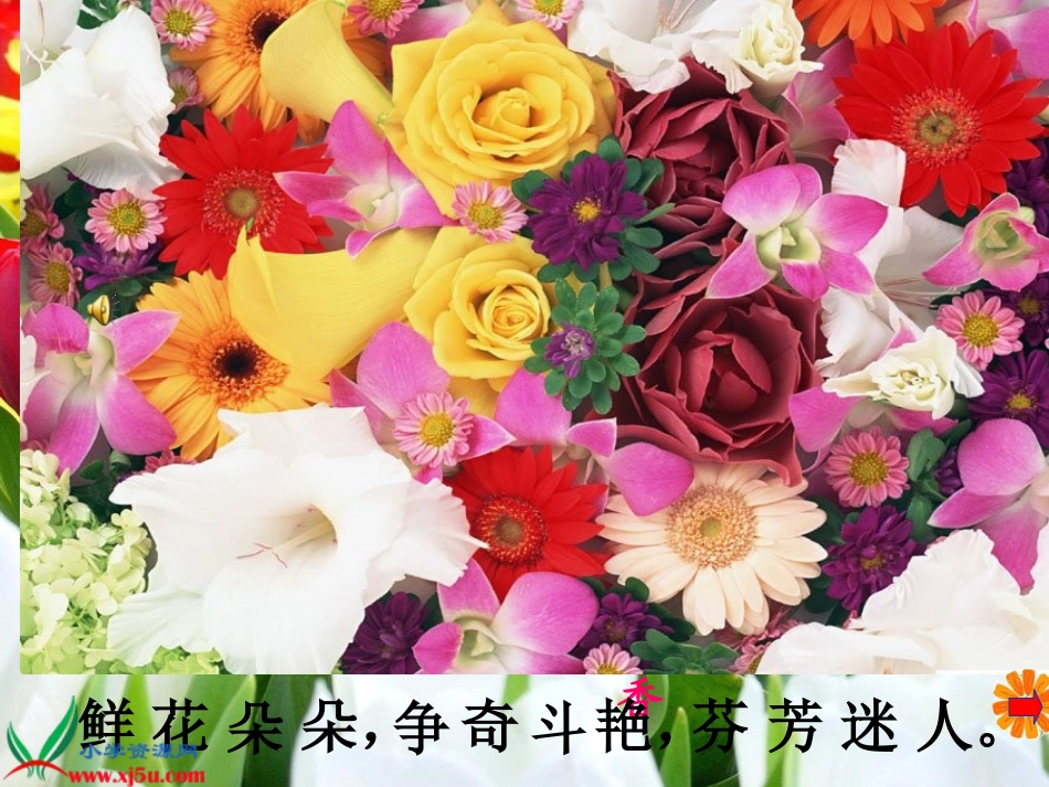 《花钟》第一课时_第3页