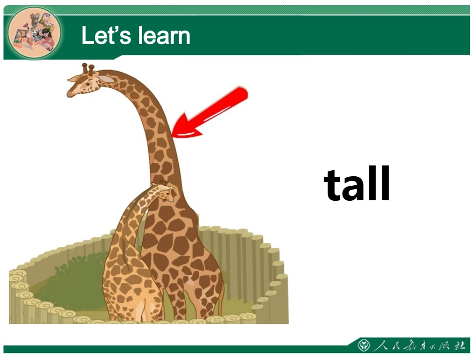 Atthezoo课件（Period2） (2)_第2页