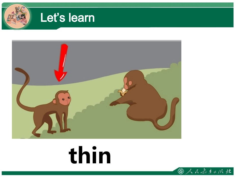 Atthezoo课件（Period2） (2)_第3页