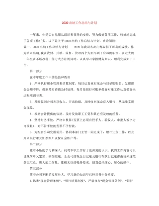 出纳工作总结与计划