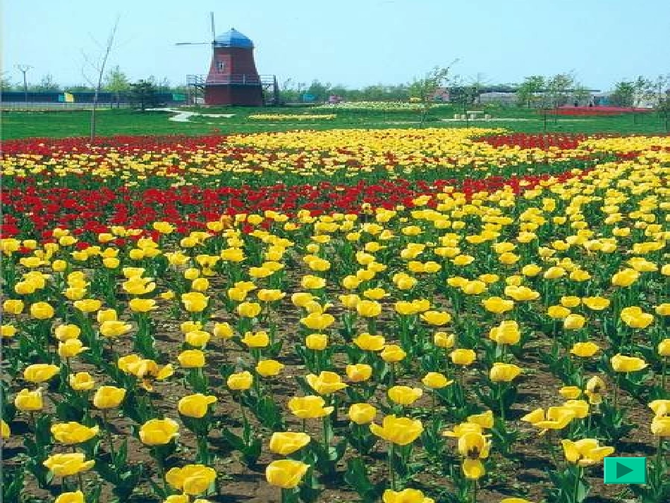 分子和原子1_第2页