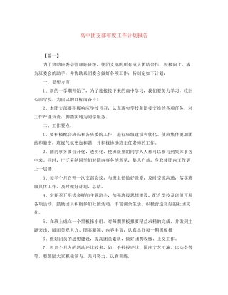 高中团支部年度工作计划报告