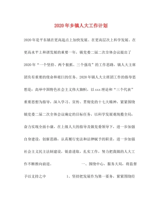 2020年乡镇人大工作计划
