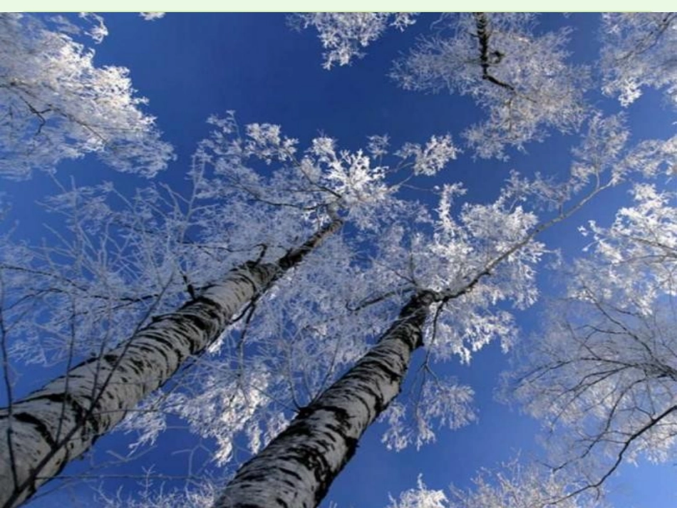 《世说新语》两则参考课件1_第3页