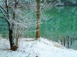 《世说新语》两则参考课件1